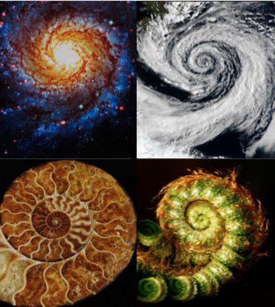 Спираль Фибоначчи Галактика